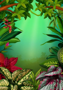 aglomena yapraklar ve ağaçlar ile güzel walpaper