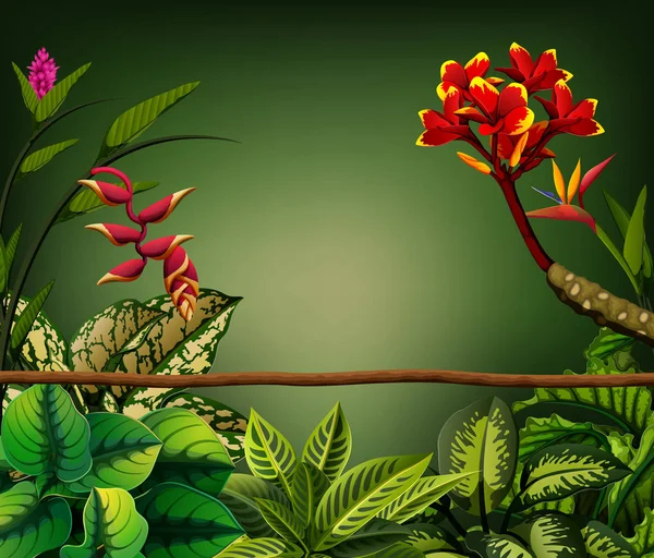 Şube Yaprakları Ile Yeşil Bir Walpaper — Stok Vektör