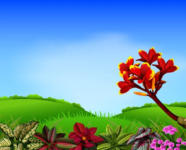 Una Vista Fresca Con Acento Flores Montaña Frangipani — Vector de stock