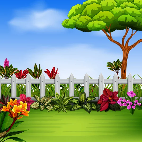 Hermoso Jardín Con Fantasía Las Flores — Vector de stock