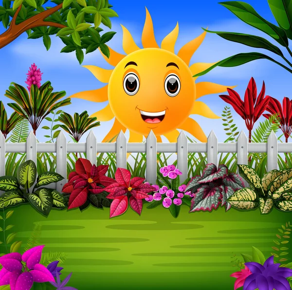 Piękny Ogród Pod Szczęśliwy Słońce — Wektor stockowy