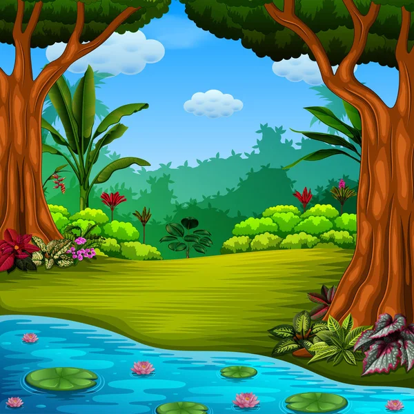 Hermoso Bosque Con Lago Loto — Vector de stock