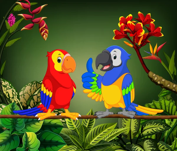Die Schönen Papageien Reden Auf Dem Halm — Stockvektor
