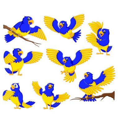 altın aksan ile şık papağan