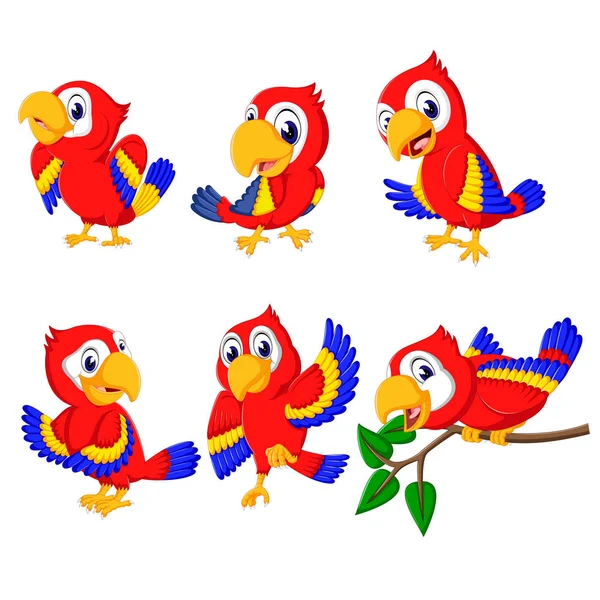 Collection Beautiful Red Parrots Different Posing — Stock Vector