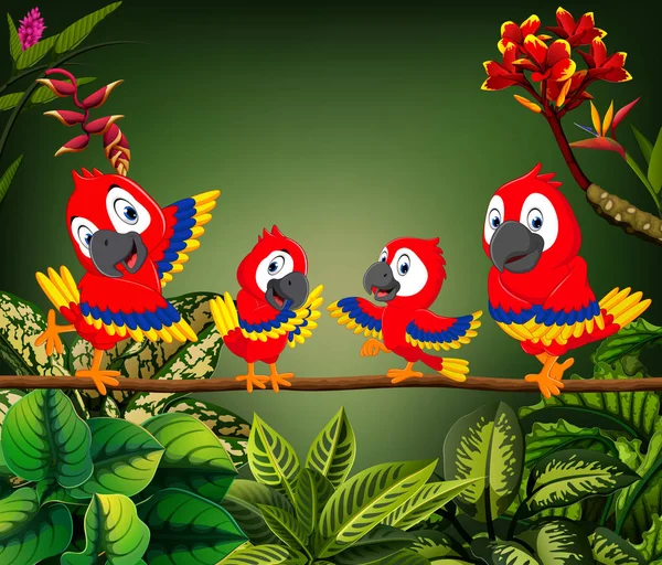 Beautiful Parrots Perch Trunk Together — Stock Vector