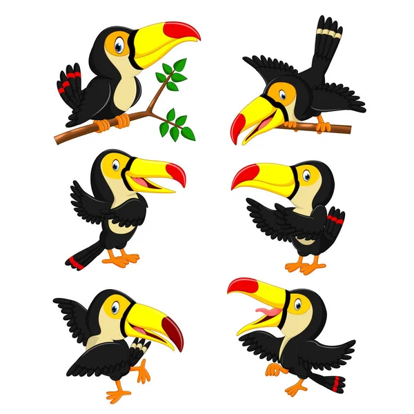 Collection Yellow Beak Toucan Different Posing — Stock Vector