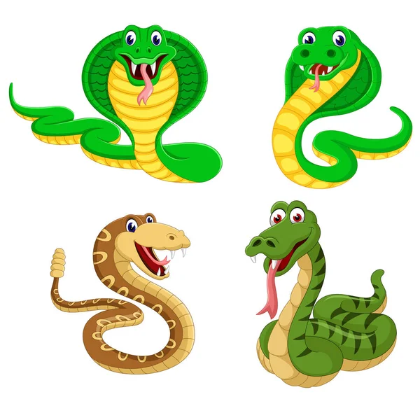 Συλλογή Από Μεγάλα Φίδια Στην Διαφορετική Έκφραση — Διανυσματικό Αρχείο