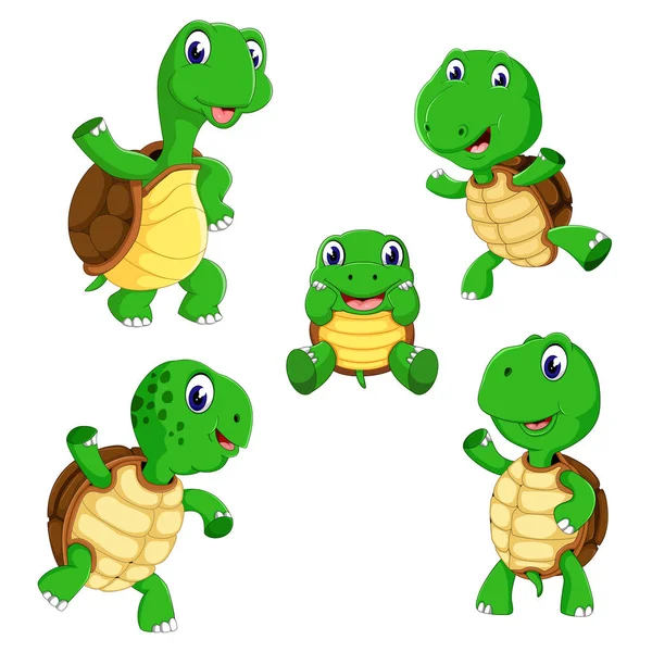 Collection Tortoise Different Posing Size — Stock Vector