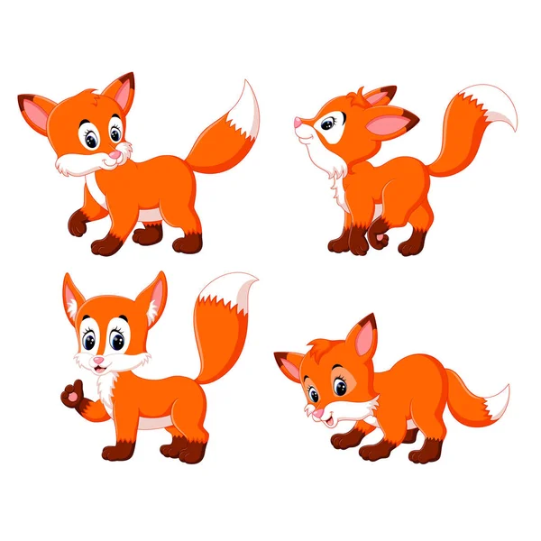 Collection Fox Different Possing — Stock Vector