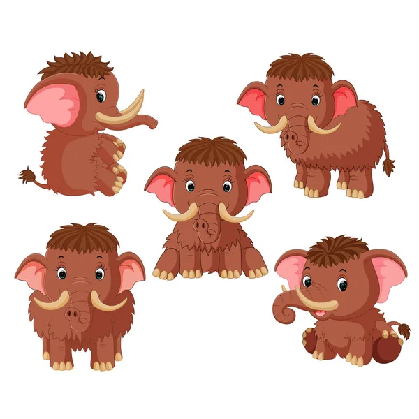 Colección Del Mamut Con Diferente Pose — Vector de stock