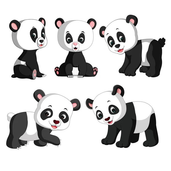 Kolekcja Słodkie Panda Różnych Pozowanie — Wektor stockowy