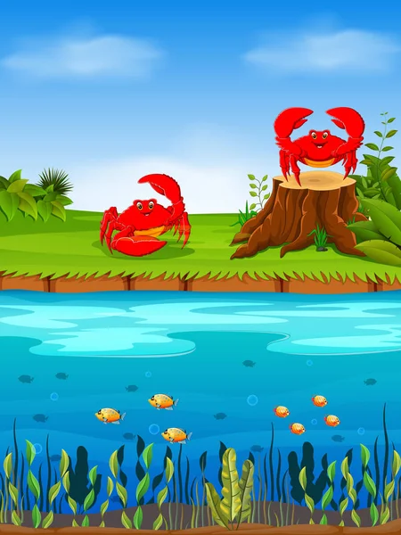Vue Naturelle Avec Crabe Rouge Sur Herbe Grand Front Rivière — Image vectorielle