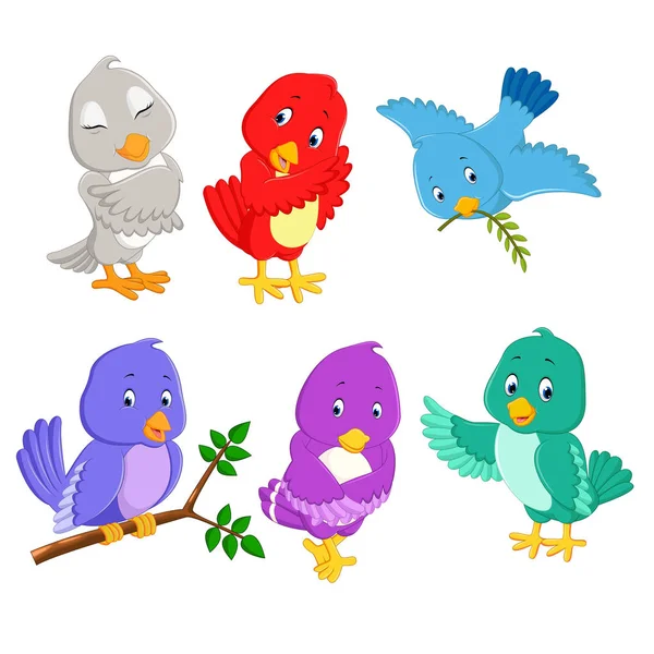 Collection Pretty Birds Different Color Posing — Stock Vector