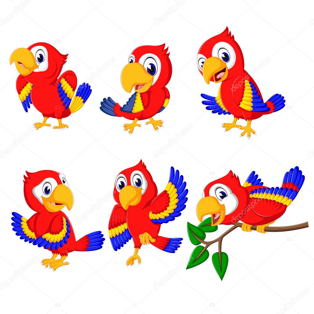the collection of beautiful red parrots with the different posing
