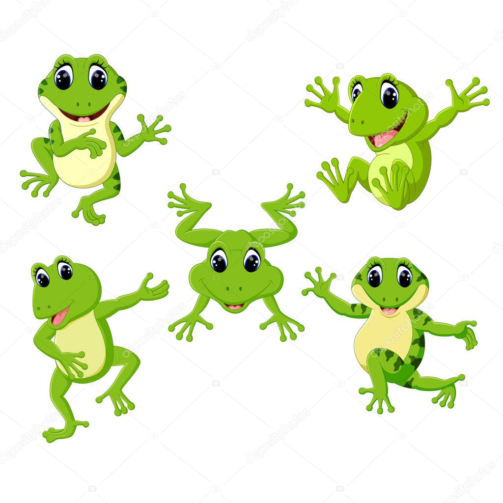 the collection of the beautiful green frog in the different posing