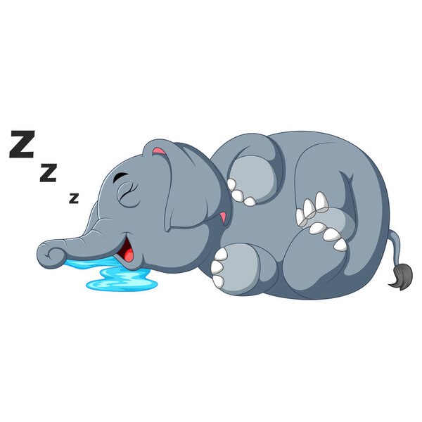 Слон крепко спит.
