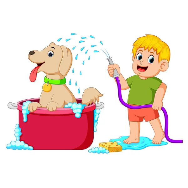 Chłopiec Jest Czyszczenie Jego Brązowy Pies Czerwone Wiadro Wodą Mydłem — Wektor stockowy