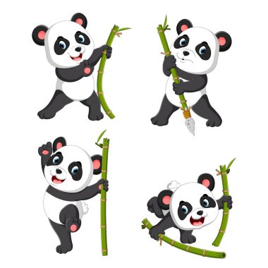 panda palying yeşil bambu ile şirin topluluğu