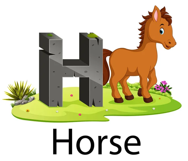 cute zoo animal alphabet H for horse with real animal