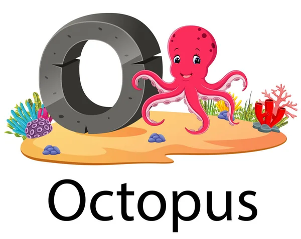 Alfabeto Animal Jardim Zoológico Para Octopus Com Animal Bonito — Vetor de Stock