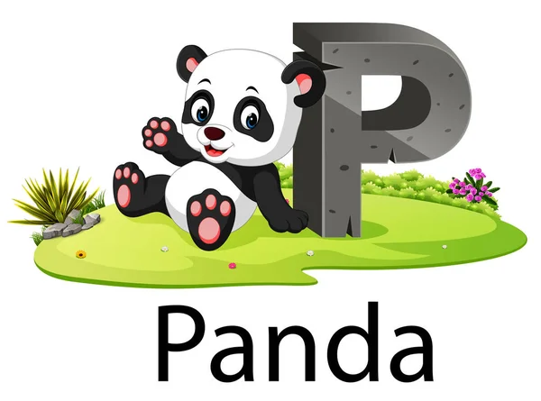 Zoo Animal Alphabet Panda Cute Animal — Stock Vector