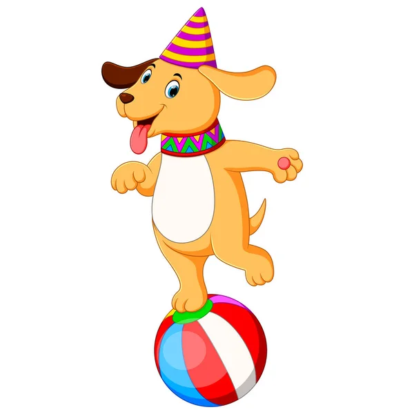 Τσίρκο Σκύλος Παίζει Και Στέκεται Την Μπάλα — Διανυσματικό Αρχείο