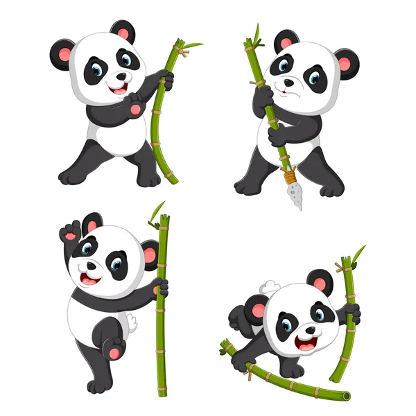 panda palying yeşil bambu ile şirin topluluğu