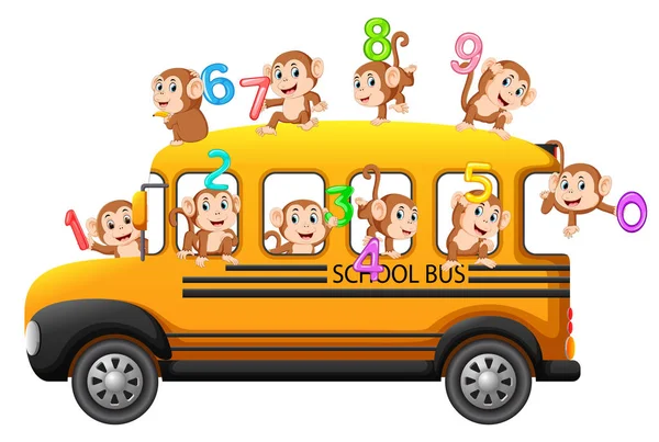 Låt Oss Räkna Med Apa Bussen Till Skolan — Stock vektor