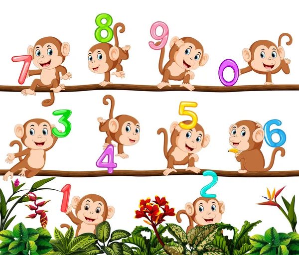 让我们和猴子数数 — 图库矢量图片