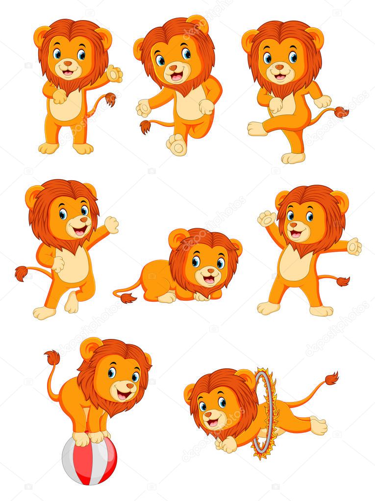 collection of cute lion character cartoon