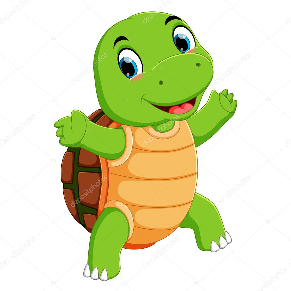 A cute turtle character cartoon