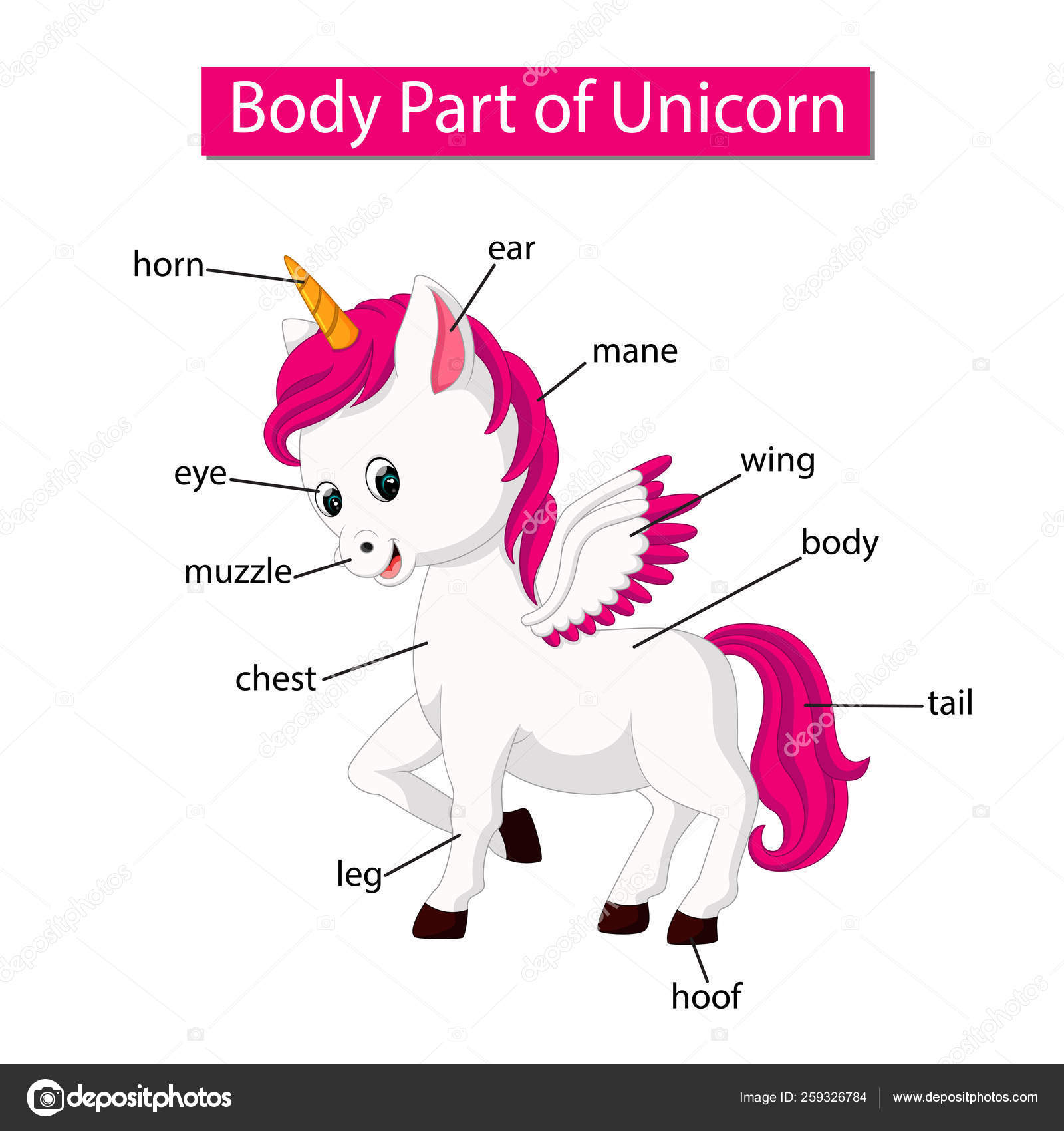 Horse body parts diagram