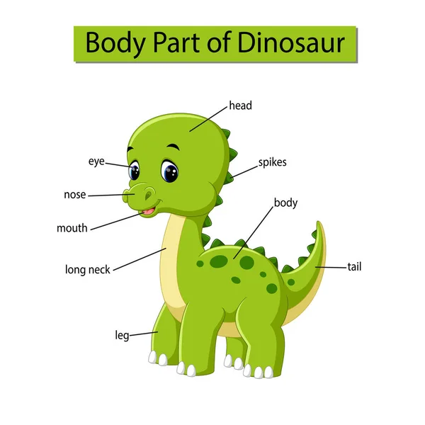 Diagram Zobrazující Část Těla Dinosaura — Stockový vektor