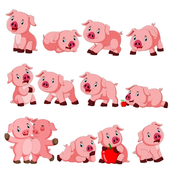 Colección de cerdo lindo con varios posando — Vector de stock
