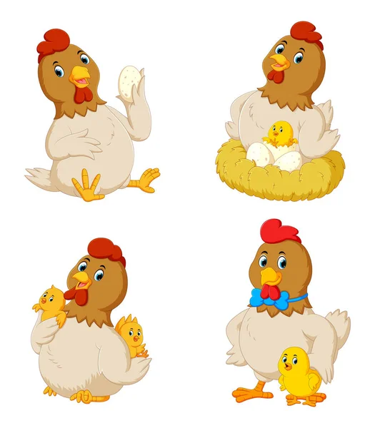 Colección de pollo lindo con varios posando — Vector de stock