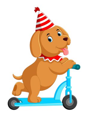 Scooter sevimli köpek