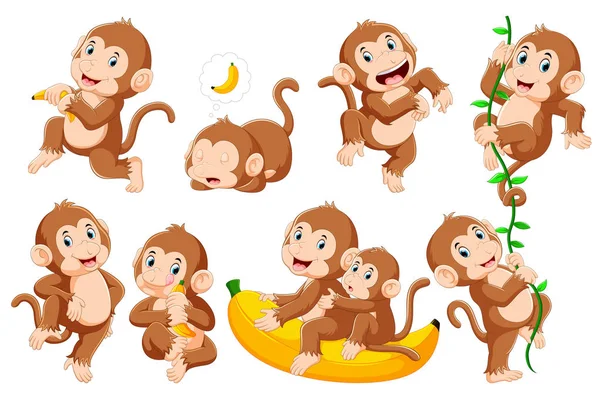 Coleção de macaco em diferentes poses —  Vetores de Stock