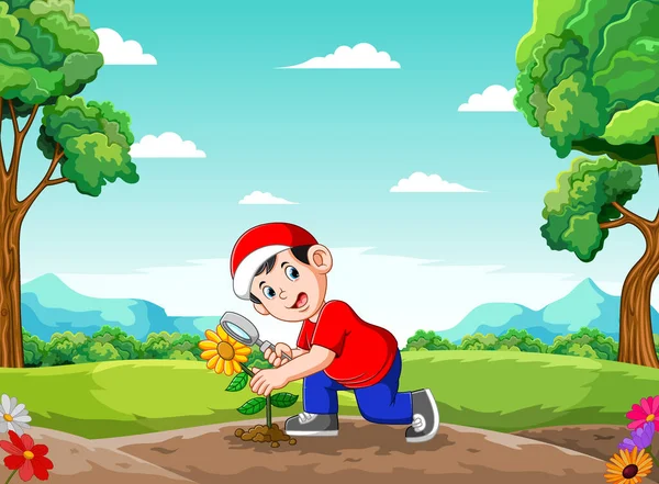 Ilustrația Băiatului Este Analiza Floarea Soarelui Grădină — Vector de stoc