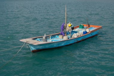 Kerala eyaletinde Halep'in durgun sularında yüzen geleneksel Hint yüzen tekne