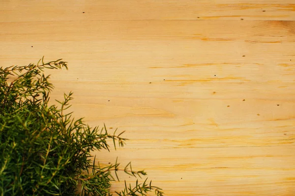 Köşesinde yeşil ardıç dalı olan çiğ ahşap arka plan.