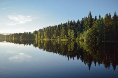 Finlandiya 'daki gölde kozalaklı orman yansımaları, yaz akşamı günbatımı