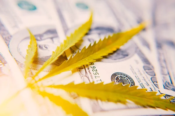 Peníze List Marihuany Close Pozadí Sto Dolarů Umělým Paprsek Světla — Stock fotografie