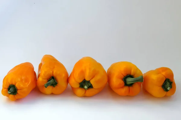 Pepper Bell Fresh Sweet Orange Colored Isolated White Background Vegetables — Stock Photo, Image