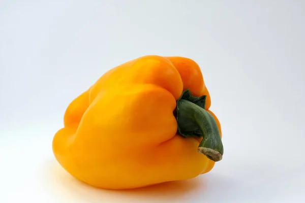 Καμπάνα Πιπέρι Φρέσκο Και Γλυκό Πορτοκαλί Χρωματιστό Απομονωμένες Άσπρο Φόντο — Φωτογραφία Αρχείου