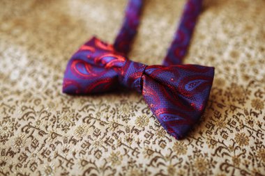 Erkekler şık kelebek zarif damadın, küçük alan derinliği ile yakın çekim