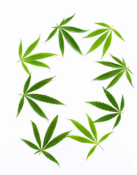 Gröna Cannabis Blad Marijuana Vit Bakgrund Hampa Ganja Blad Ovanifrån — Stockfoto