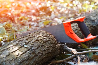 El testere üzerinde doğal bulanık arka plan üzerinde Ahşap ahşap kesim