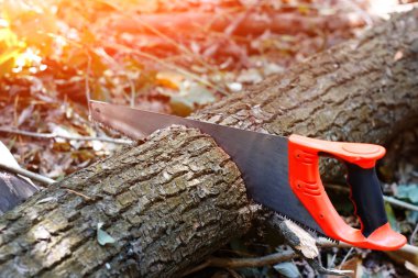 El testere üzerinde doğal bulanık arka plan üzerinde Ahşap ahşap kesim