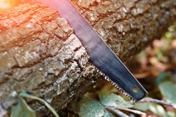 Hand hacksaw on wooden wood cutting on natural blurred background